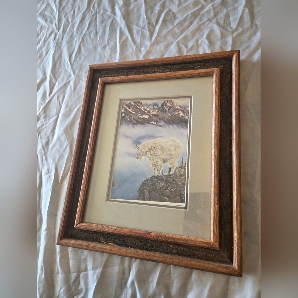 Framed Mountain Goat Art Print